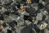 Polished Black Jasper Conglomerate Slab - Australia #132962-1